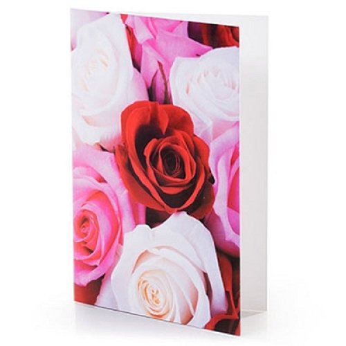 Standard Card delivery to Czech Republic