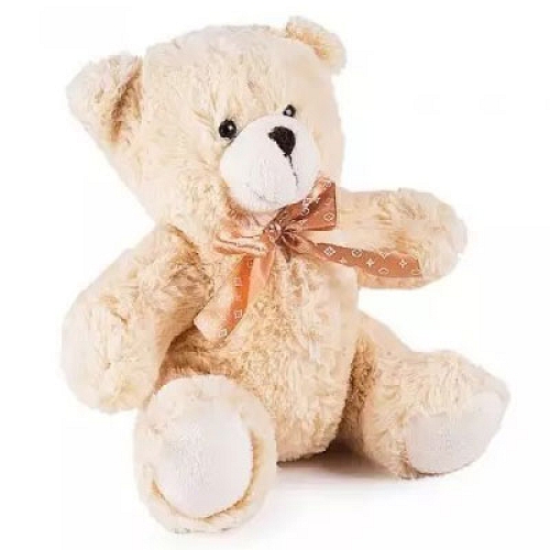 Teddy Bear delivery to Paraguay