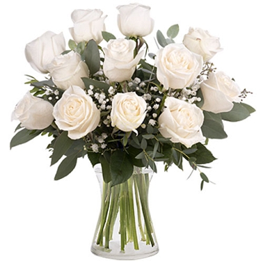 12 Classic White Roses Delivery to New Zealand