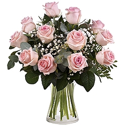12 Secret Pink Roses Delivery Argentina