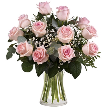 12 Secret Pink Roses Delivery Uruguay