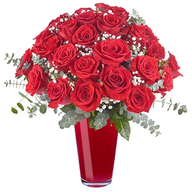 24 Lavish Red Roses Delivery Romania