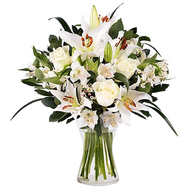 Innocent Love Flowers Delivery to Qatar