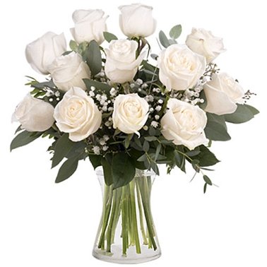 12 Classic White Roses Delivery to Belgium
