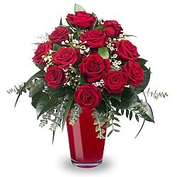 12 Classic Red Roses delivery to Denmark