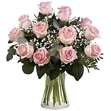 12 Secret Pink Roses Delivery Australia