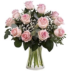 12 Secret Pink Roses Delivery Belgium