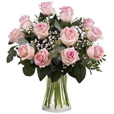 12 Secret Pink Roses Delivery Mexico