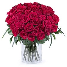 50 Shades of Red Roses Delivery to India