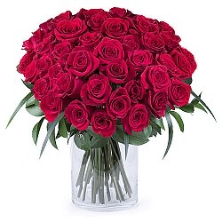 50 Shades of Red Roses Delivery to Poland
