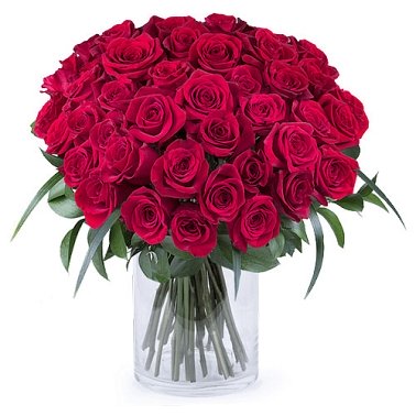 50 Shades of Red Roses Delivery to Singapore