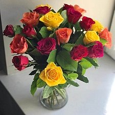 20 Multicolor Roses delivery to UK [United Kingdom]