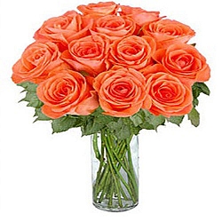 12 Long Stemmed Orange Roses delivery to Canada