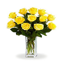 12 Long Stemmed Yellow Roses delivery to Canada