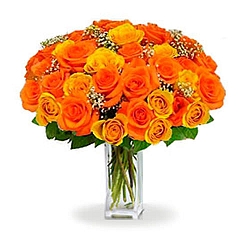36 Long Stem Orange Roses delivery to Canada