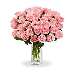 36 Long Stem Pink Roses delivery to Canada