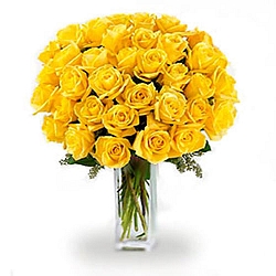 36 Long Stemmed Yellow Roses delivery to Canada