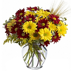 Fall Brights Bouquet delivery to Canada