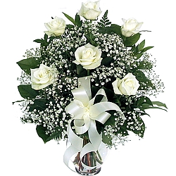 6 White Roses delivery to Canada