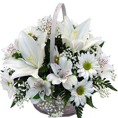 Solace Send flowers to Canada ExpressGiftService