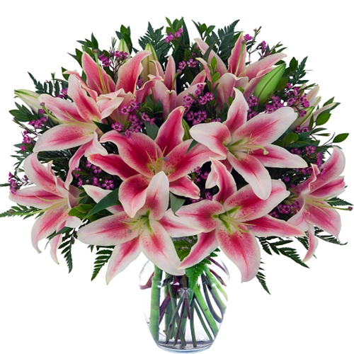 Spirited Lilies Send flowers to Canada ExpressGiftService