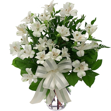 White Peruvian Lilies delivery to Canada