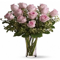 12 Long Stemmed Pink Roses delivery to Canada