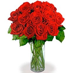 12 Extra Long Stemmed Red Roses delivery to Canada