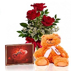 Roses & Teddy Special delivery to Canada
