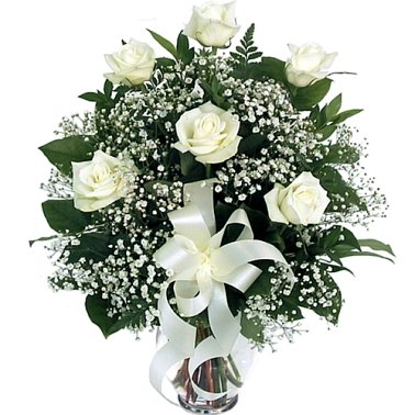 6 White Roses delivery to Canada
