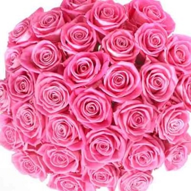 Pink Roses Bouquet 100 Flowers delivery to India