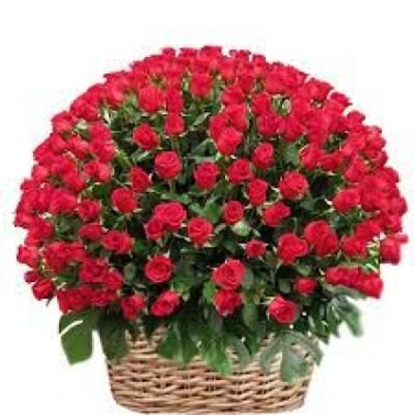 100 Red Roses Basket delivery to India