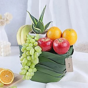 Greenery and Fresh Fruits
