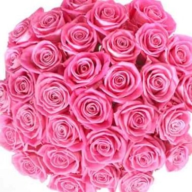 Pink Roses Bouquet 100 Flowers | Send Flowers to India by Express Gift ...