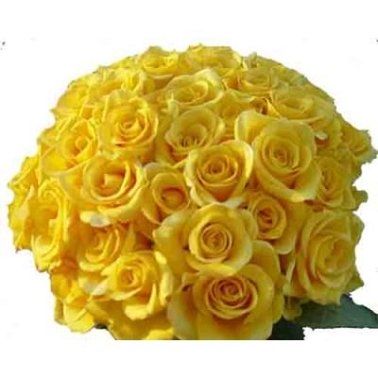 Yellow Roses Bouquet 100 Flowers delivery to India