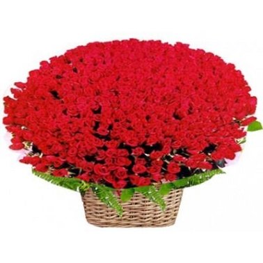 250 Red Roses Basket delivery to India