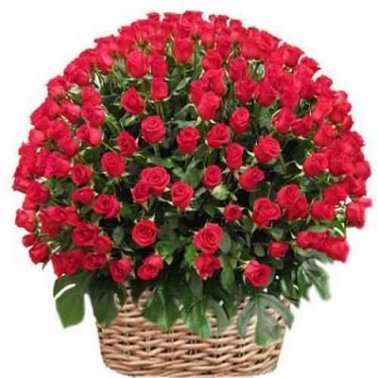 Red Roses Basket 500 Flowers delivery to India