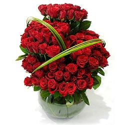 100 Red Roses Delivery to UAE