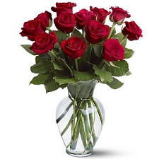 12 Red Roses Delivery to UAE