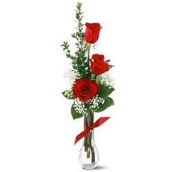 3 Red Roses Delivery to UAE