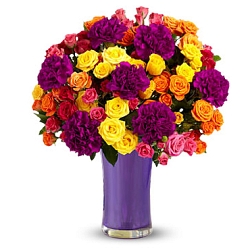 50 delight Blooms Delivery to UAE