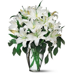 Perfect White Lilies Delivery to UAE