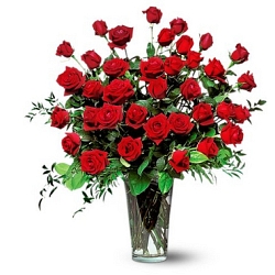 Three dozen red roses Delivery to UAE
