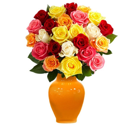 Two Dozen Multicolored Roses Delivery to UAE