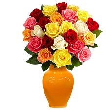 Two Dozen Multicolored Roses Delivery to UAE