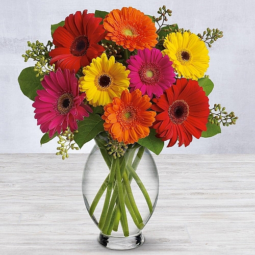 Gerbera Brights Bouquet delivery to United States