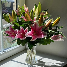 Blush Lilies Delivery UK