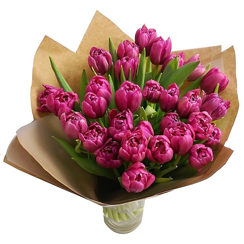 30 Pink Tulips