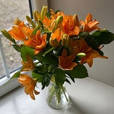Lilies Passion delivery to UK