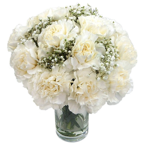 White Spray Carnations Next day Flowers UK ExpressGiftService